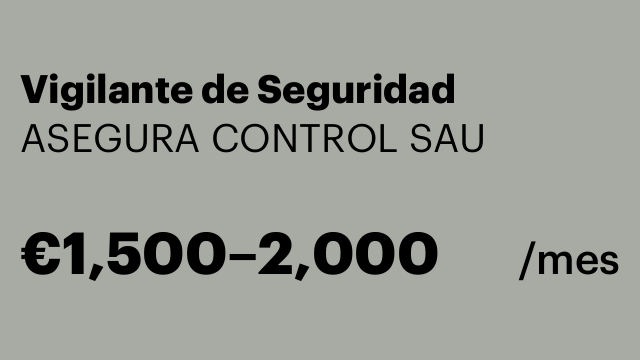 Vigilante de Seguridad