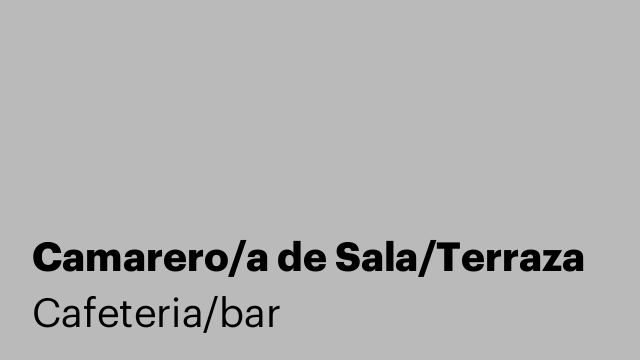 Camarero/a de Sala/Terraza
