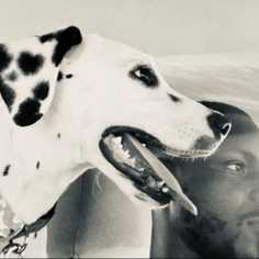 company photo
