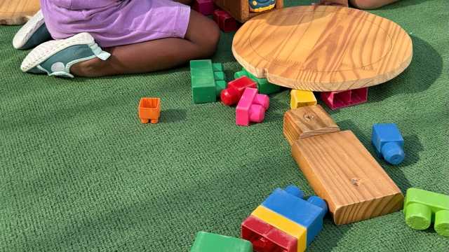 Educadora Infanti