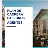 Fernanda P. avatar icon