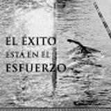 Rafael R. avatar icon