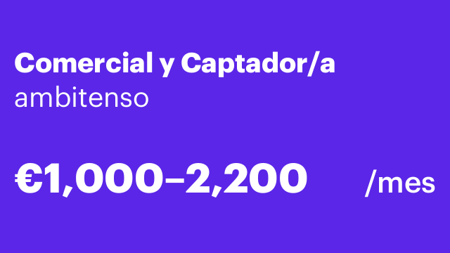 Comercial y Captador/a