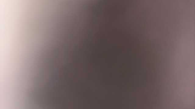 Camarero/a de Sala/Terraza