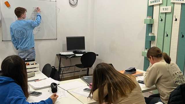 Profesor/a Particular