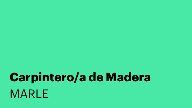 Carpintero/a de Madera