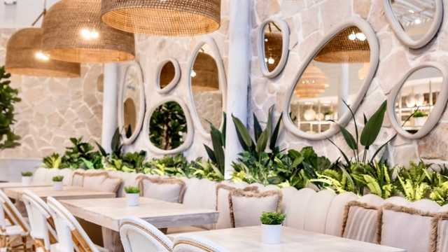 Camarero/a y Barista