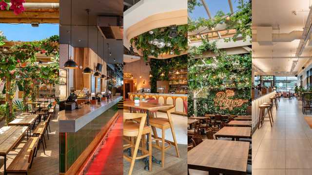 Team Member - Waiter / Waitress - Full Time