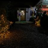 Ruta baviera G. avatar icon