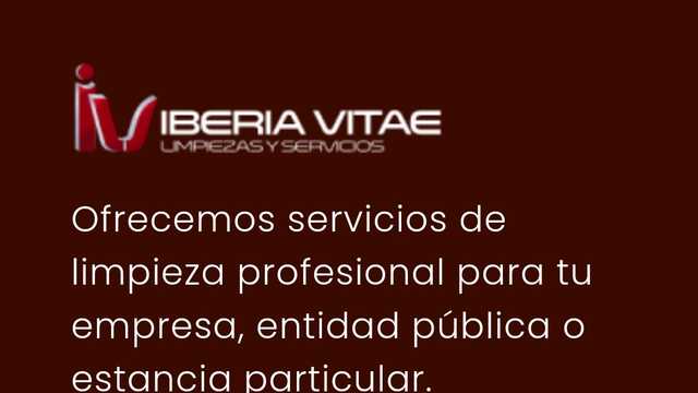 Limpiador/a
