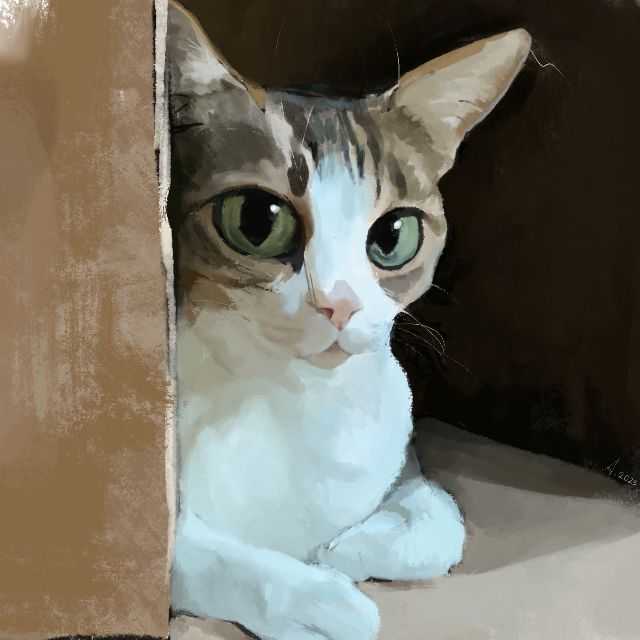 Candidate avatar