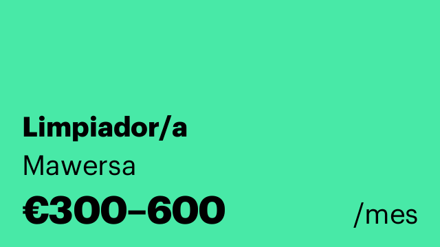 Limpiador/a