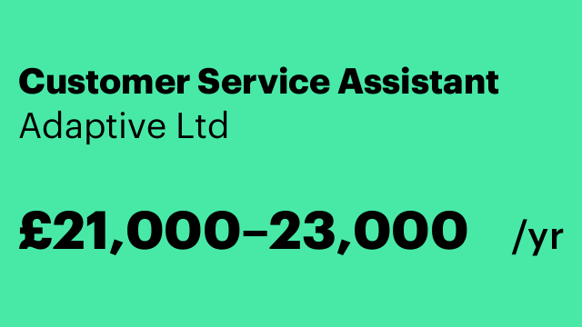 Customer Service Assistant