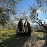 Vanessa V. avatar icon