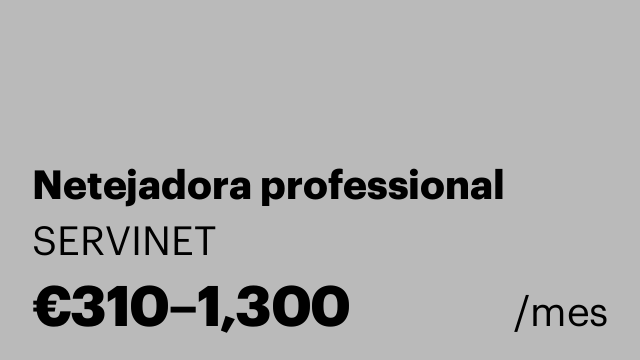 Netejadora professional