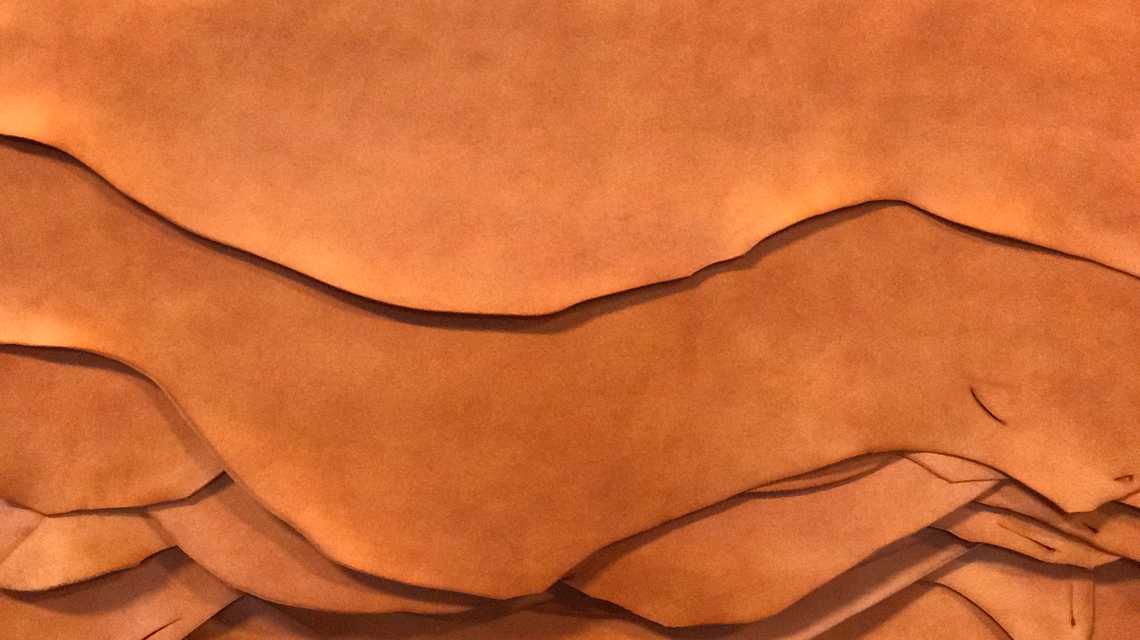 Café Leather cover image