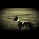 Hiren G. avatar icon