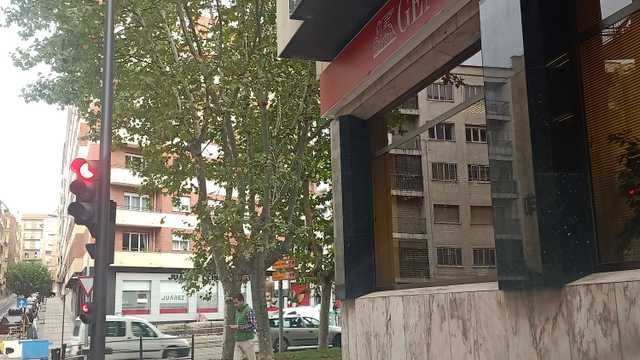 Gestor/a Jefe/a de Equipo Comercial