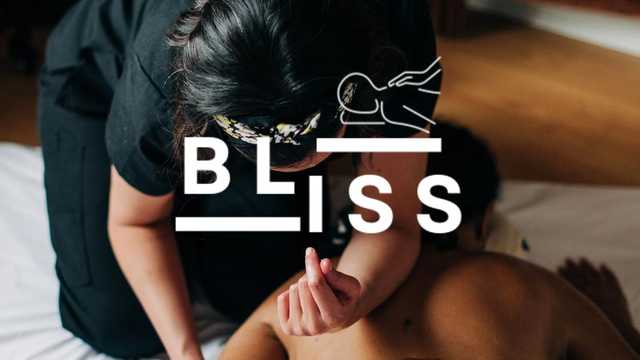 Massage Therapist