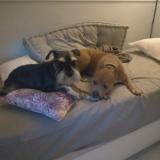 Carmen L. avatar icon