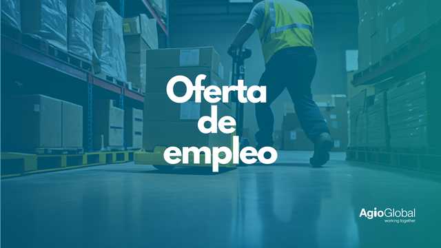 Mozo/a carretillero/a