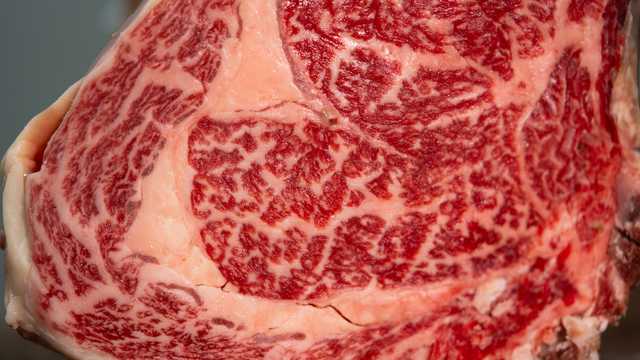 Cocinero/a Restaurante