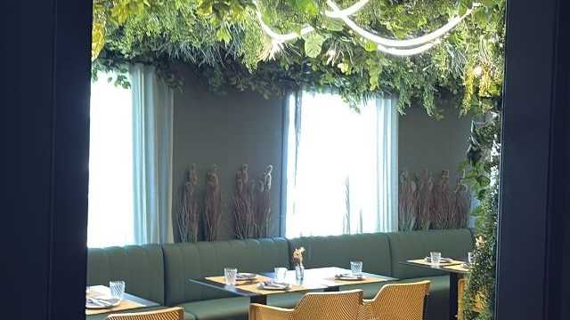 Camarero/a de Sala/Terraza