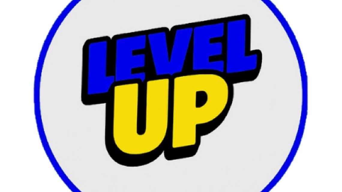 Level Up Salon cover image