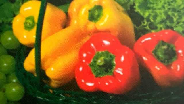 CONDUCTOR  / REPARTIDOR