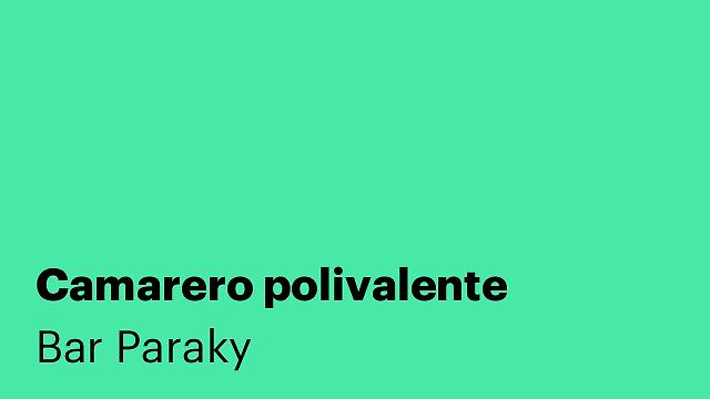 Camarero polivalente