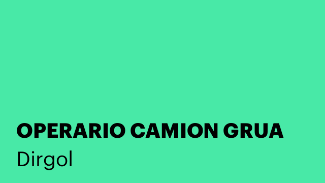 OPERARIO CAMION GRUA