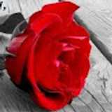 Claire H. avatar icon