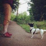 David L. avatar icon