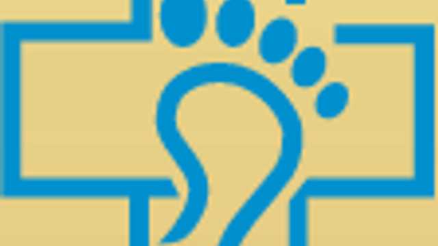 Podiatrist
