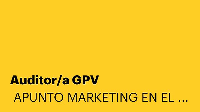 Auditor/a GPV