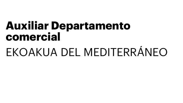 Auxiliar Departamento comercial