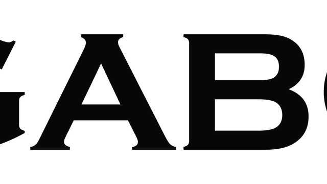 Junior Videographer / Video Editor