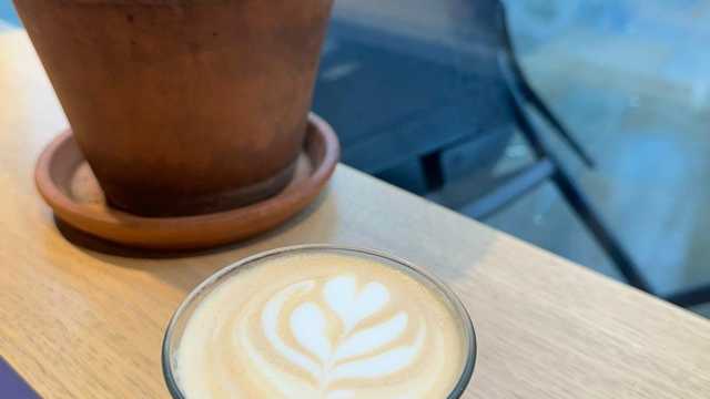 Barista