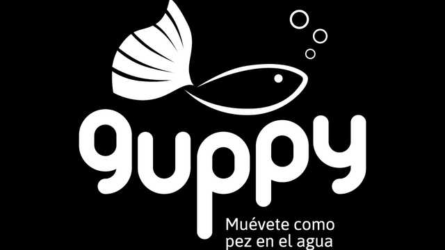 Conductor/a turno noche