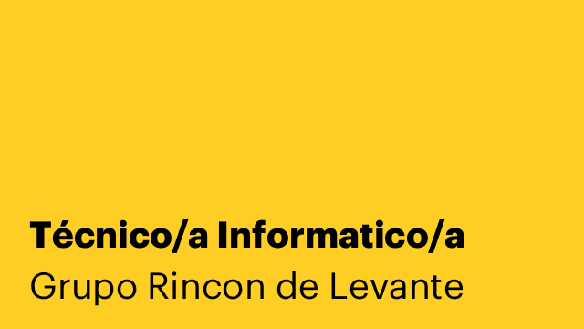 Técnico/a Informatico/a