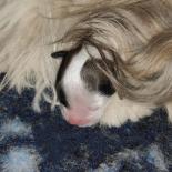 MeryEu D. avatar icon