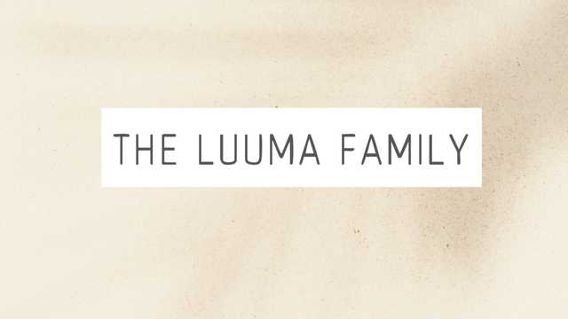 Jardinero/a y Mantenimiento