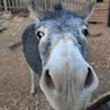 Eduardo C. avatar icon