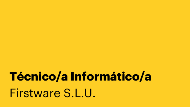 Técnico/a Informático/a
