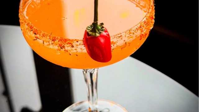 Cocktail Bartender