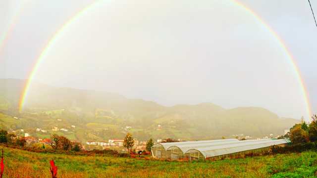 Administrativo/a