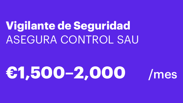 Vigilante de Seguridad