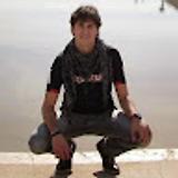 Dani U. avatar icon