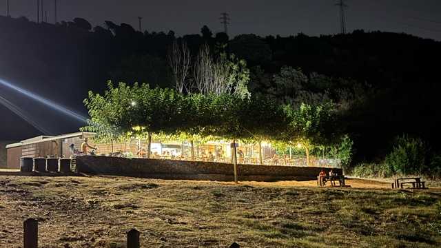 Cocinero/a Restaurante
