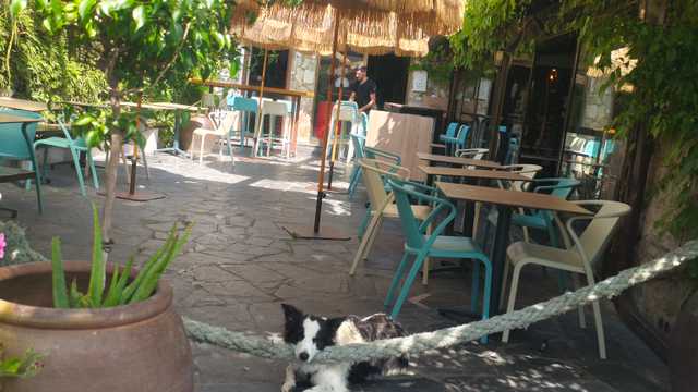 Cocinero/a Restaurante